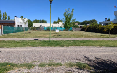 Lotes. Altos de Viterbori