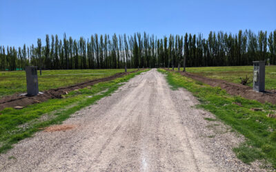 Lotes en venta. La Toscana.
